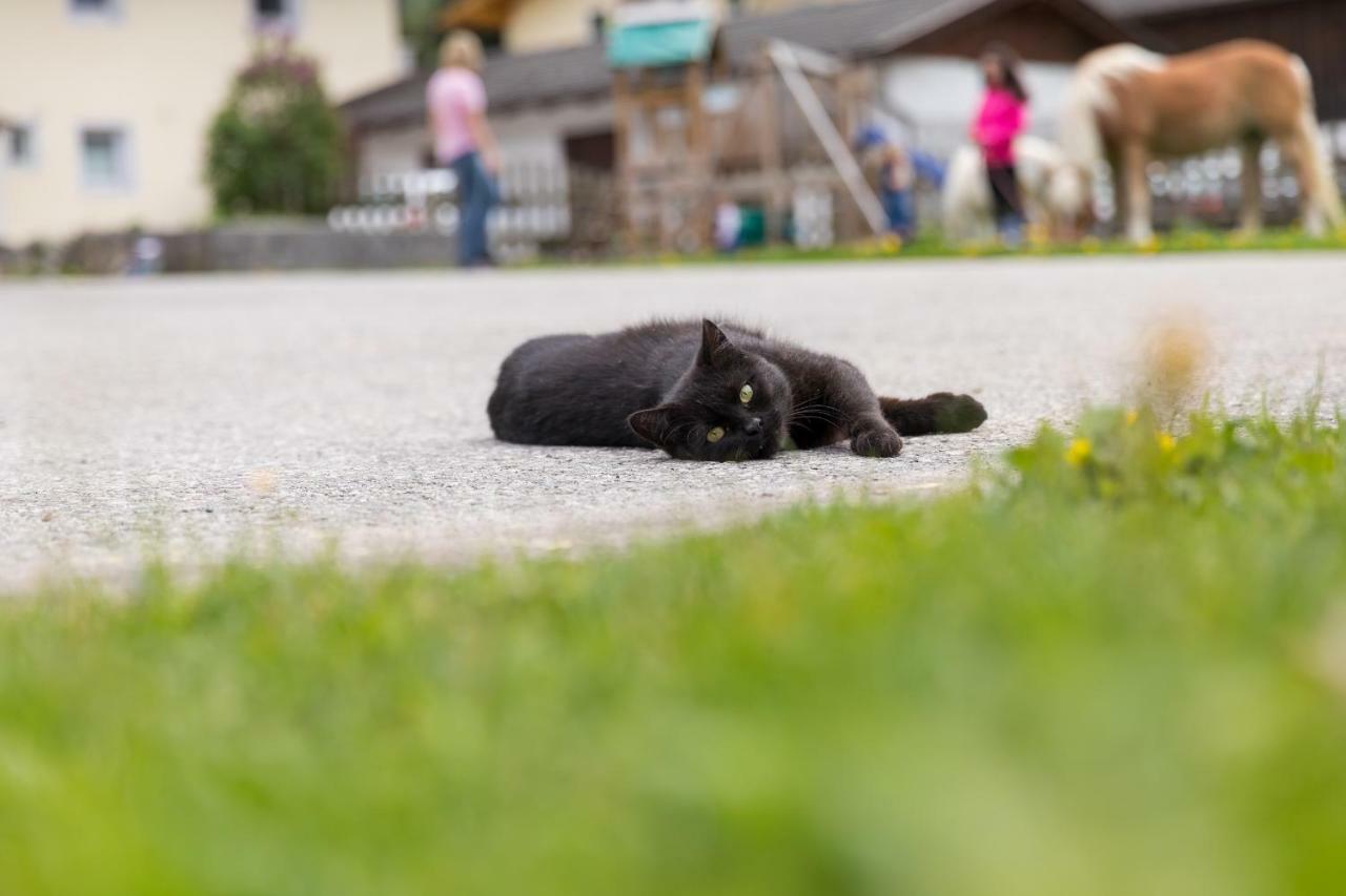 Hieserhof Neustift im Stubaital Luaran gambar